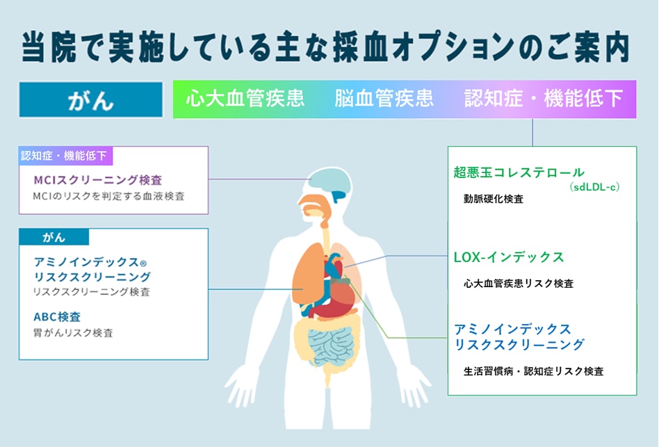 当院で実施している採血オプションのご案内